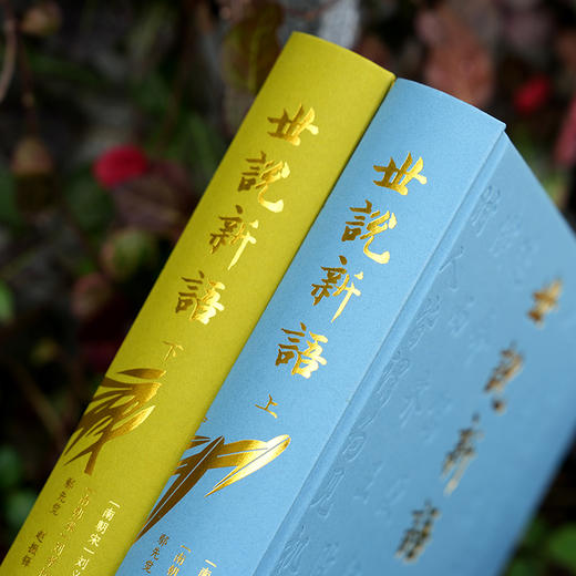 世说新语 （全二册） 全本全注全译彩色插图版 商品图4