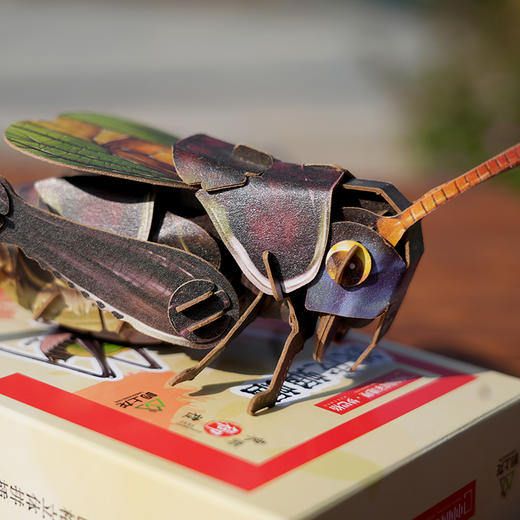 密云东邵渠镇小岭村开发文创立体纸模型自己动手拼接铁皮蝈蝈  会叫的铁皮蝈蝈 商品图4