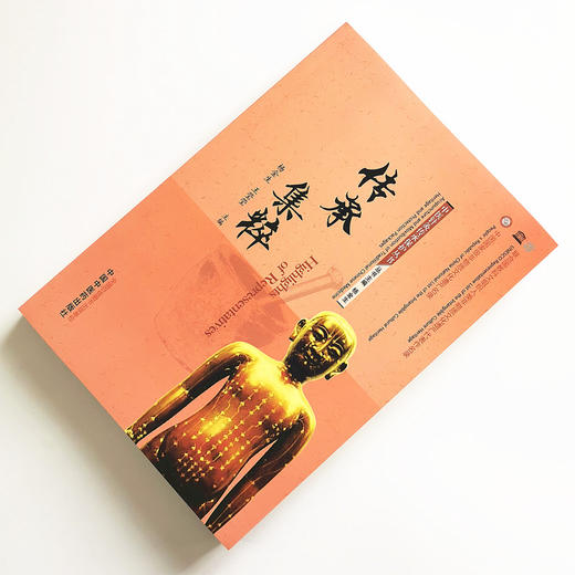 传承集粹 中医针灸传承保护丛书 杨金生 王莹莹 中国中医药出版社 商品图2