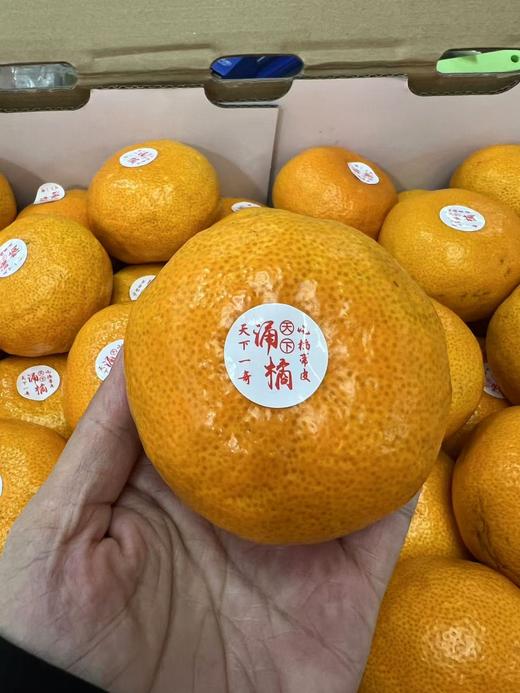 【蜜桔天花板】台州涌泉高山蜜桔，无敌好吃，像果冻一样，水分超好，纯甜，爆汁 商品图5