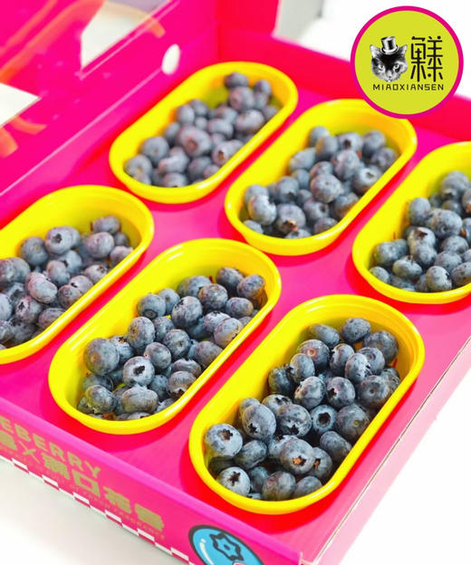 喵菓基地【巨无霸22+】云南花香蓝莓🫐（全国包邮） 商品图0