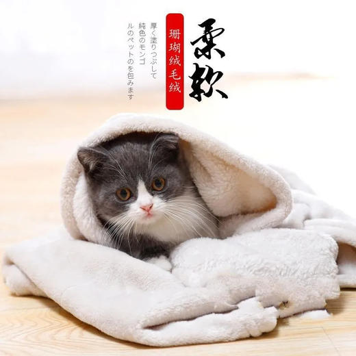 宠物毛毯珊瑚绒加厚猫毛毯猫咪专用狗狗被子睡垫狗窝垫子秋冬款 商品图1