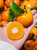 广西 砂糖橘 1斤甜 商品缩略图2