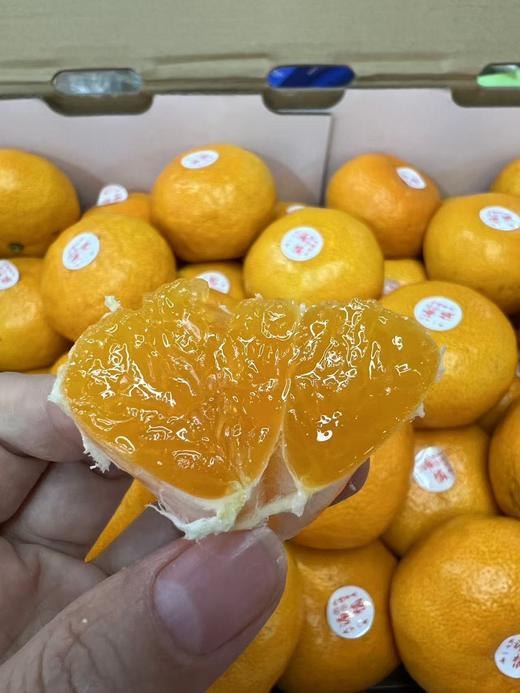【蜜桔天花板】台州涌泉高山蜜桔，无敌好吃，像果冻一样，水分超好，纯甜，爆汁 商品图6