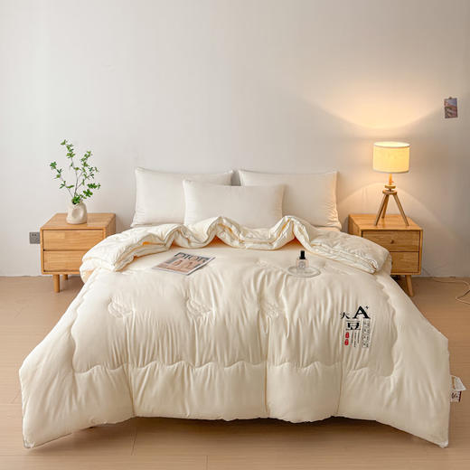 无印良品A类大豆纤维被（二合一子母被）MJ-B2024-0190 商品图3