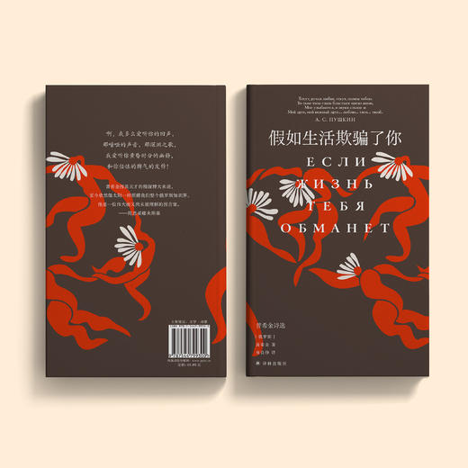 《假如生活欺骗了你：普希金诗选》 商品图11