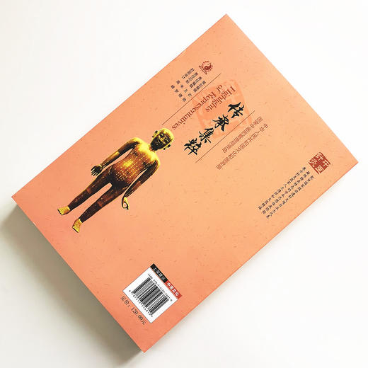 传承集粹 中医针灸传承保护丛书 杨金生 王莹莹 中国中医药出版社 商品图3