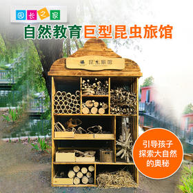 巨型昆虫旅馆户外自然教育