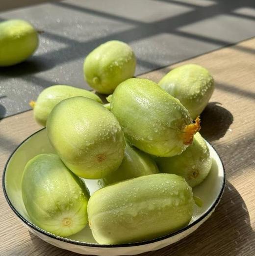 【满150元全疆包邮】小黄瓜（1.2kg） 商品图0