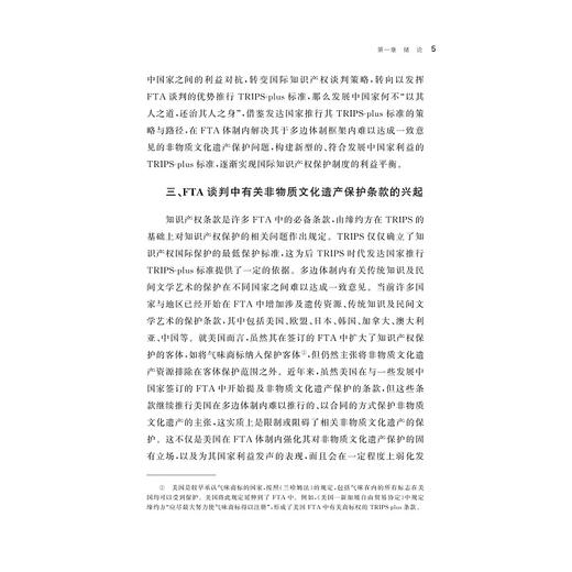 共富视域下非物质文化遗产国际知识产权保护研究 商品图2