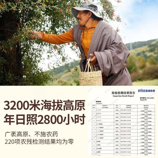 【莲花甄选】沙棘原浆高原有机野生 商品图3
