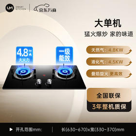 优盟（UM）家用燃气灶 台嵌两用 4.5KW大火力灶具 国标一级能效 钢化三层玻璃双灶 UZ338 液化气