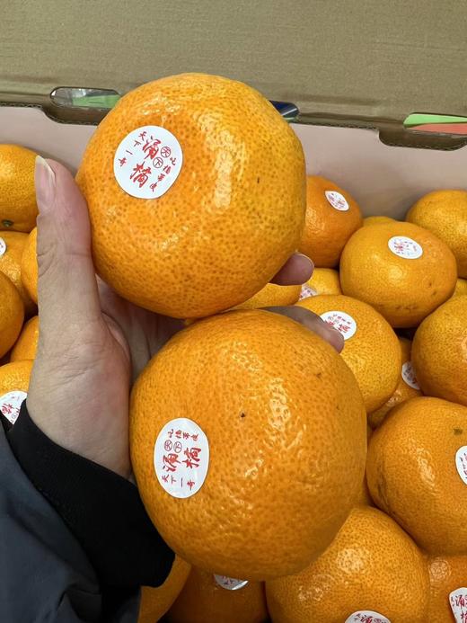 【蜜桔天花板】台州涌泉高山蜜桔，无敌好吃，像果冻一样，水分超好，纯甜，爆汁 商品图8