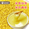 优选丨阳原有机御贡小米（金苗）2500g装 商品缩略图2