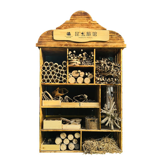 巨型昆虫旅馆户外自然教育 商品图4