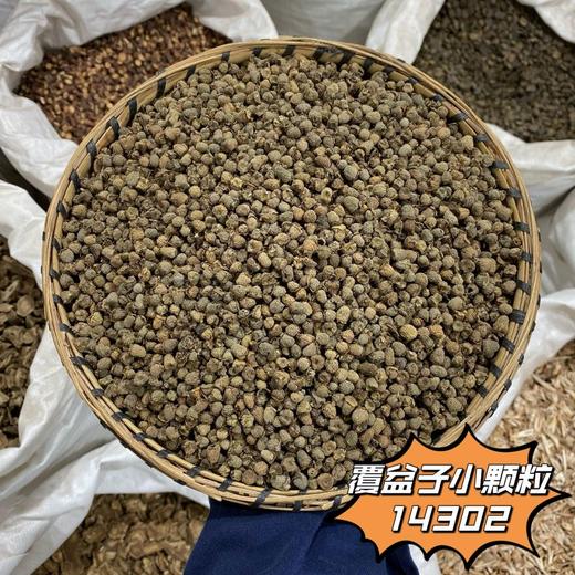 覆盆子 常用规格 复盆子 中颗粒 商品图3