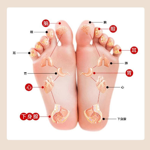 【下单赠送保健袜1双】德尔惠Deerway足底指压按摩垫 商品图8