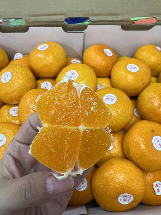 【蜜桔天花板】台州涌泉高山蜜桔，无敌好吃，像果冻一样，水分超好，纯甜，爆汁 商品图4