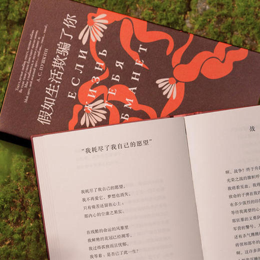 《假如生活欺骗了你：普希金诗选》 商品图6