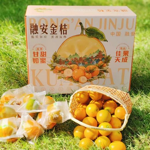 【果蔬精选】广西脆蜜金柑 “升级版金桔”第三代脆蜜金柑 皮薄脆爽 甘甜多汁 无籽化渣 甜度可达20度+ 带皮吃甜蜜可口 商品图5