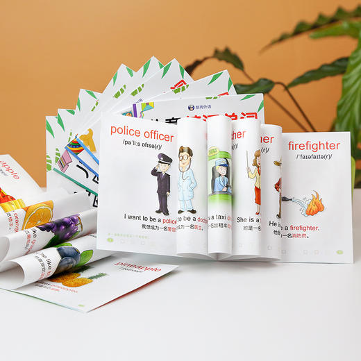 儿童英语单词图画书全套（16册） 商品图3