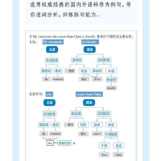 不简单的简单句 英语语法全解大学英语四六级考试英语一英语二适用成人英语薄冰语法英语长难句解析教材 商品图3