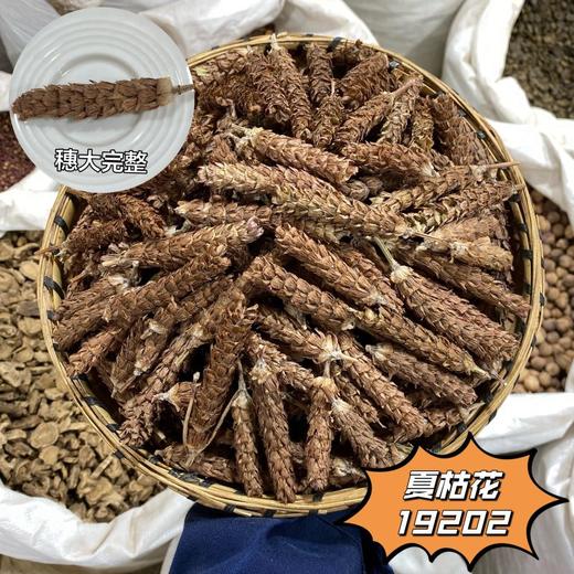 夏枯草 全草带杆  夏枯花 商品图1