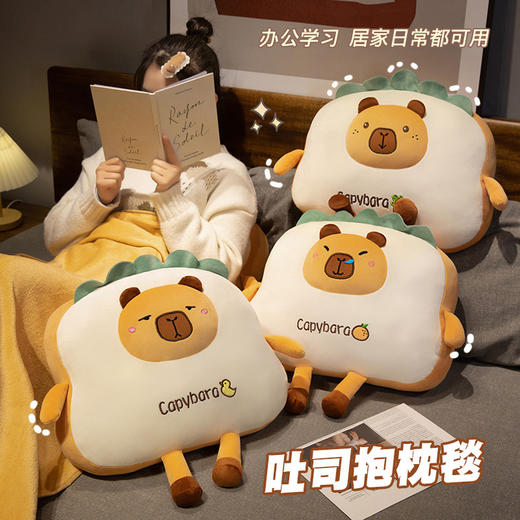 【两用抱枕被】创意ins抱枕被车载抱枕被 商品图3