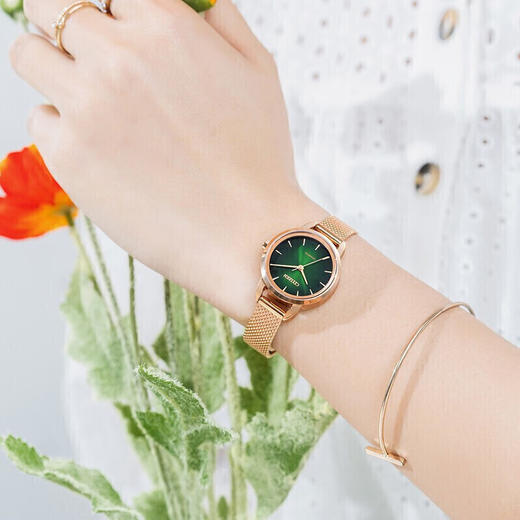 西铁城石英女表EQ3003-50W 商品图2