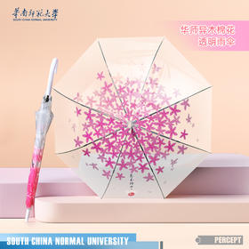 华师异木棉透明雨伞