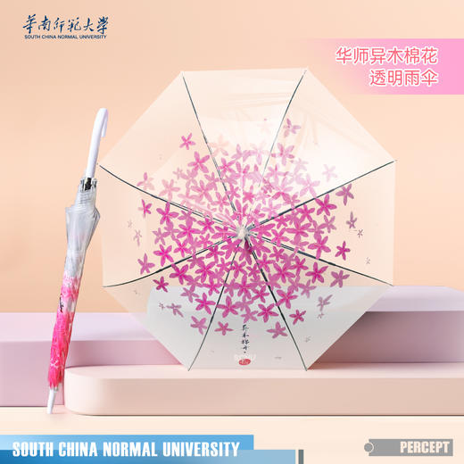 华师异木棉透明雨伞 商品图0