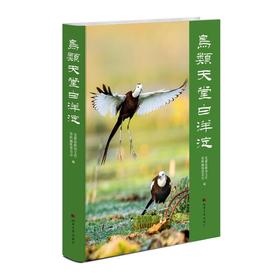 鸟类天堂白洋淀