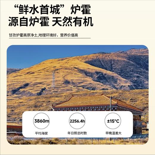 【莲花甄选】沙棘原浆高原有机野生 商品图2