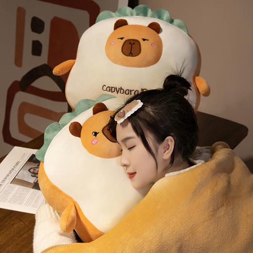 【两用抱枕被】创意ins抱枕被车载抱枕被 商品图4