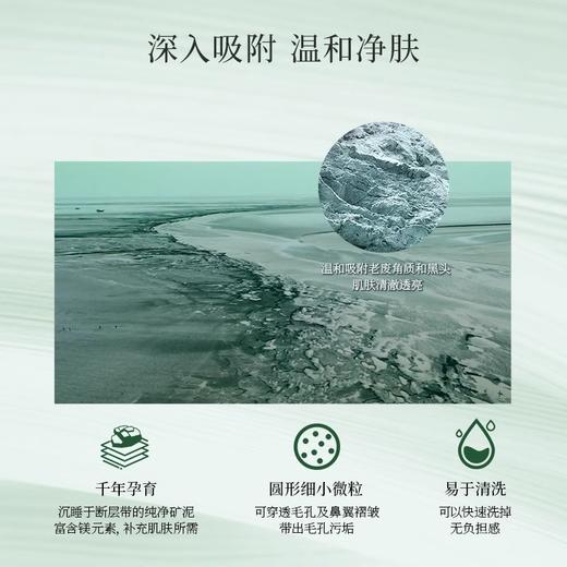 【271元会员福利】安露莎柔肤矿泥面膜100g     商品图1