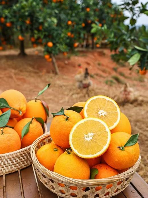 【红土赣南脐橙🍊】 产地直发，一件包邮👍树上熟🌳现摘现发🔥黄金糖酸比17.5°酸甜皆由你😋土好，橙更好👍 酸甜可口，清爽解腻，柔软化渣💕 商品图8