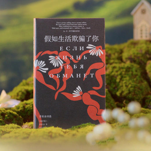《假如生活欺骗了你：普希金诗选》 商品图4
