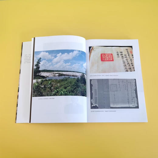 启笛丛书·消逝的海外华邦——西婆罗洲华人政权的兴亡 华人在南洋灿烂而悲壮的史诗 李欣祥 著 商品图5