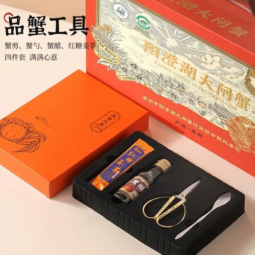阳澄湖大闸蟹 商品图3