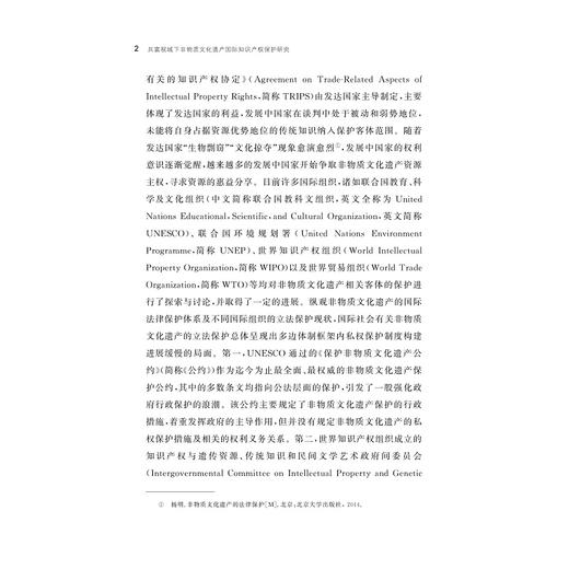 共富视域下非物质文化遗产国际知识产权保护研究 商品图1