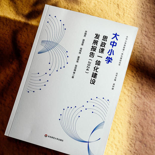 大中小学思政课一体化建设发展报告 2024 思想政治教育 商品图5