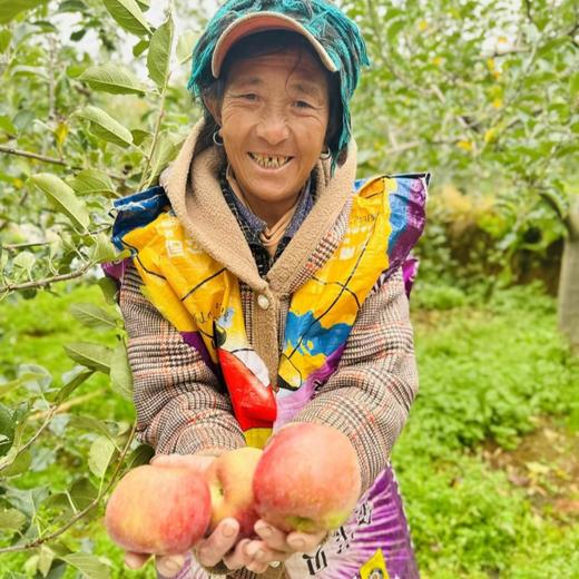 大凉山糖心丑苹果【愿每一颗苹果走出大山，更希望大山里的果农们能走出大山多看看外面的世界】 商品图5