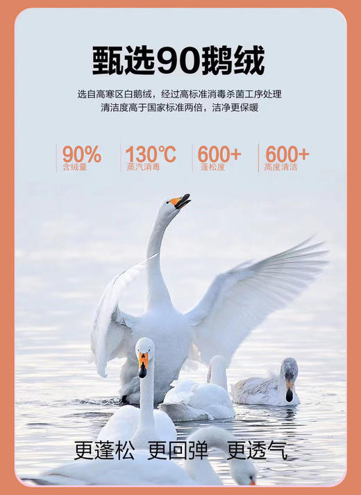 【春节不打烊】杭州大厦🏬品牌同货源❗【黑金鹅绒小黑裤】勾勒腰臀线，美丽优雅过深冬❗可抵御零下30度寒冷，预防老寒腿⚠️🚚发货时效：48小时内（送运费险哦~） 商品图5