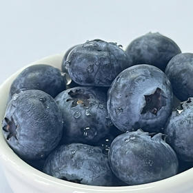 花香蓝莓  全球蓝莓品种天花板 馥郁独特的花香味 无法抗拒的脆爽和香甜  独特花香味的蓝莓 真正的嘎弸脆❗让你爱不释手❗根本停不下来❗
