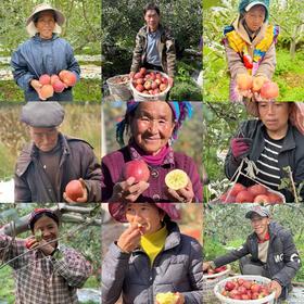 大凉山盐源糖心丑苹果【愿每一颗苹果走出大山，更希望大山里的果农们能走出大山多看看外面的世界】