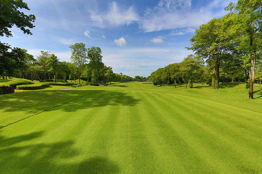 曼谷艾潘高尔夫俱乐部 Alpine Golf Club Bangkok | 泰国高尔夫球场俱乐部 | 曼谷高尔夫 商品图5