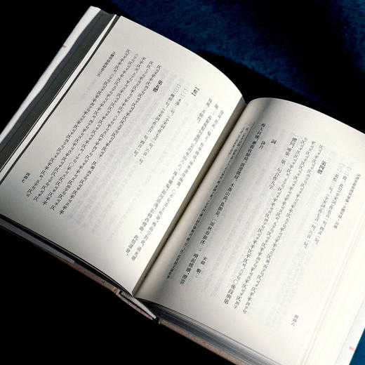 文体明辩 诗馀 国学研究 词谱 [明]徐师曾 十四五国家重点图书 商品图14