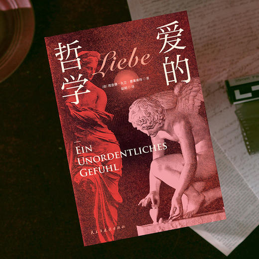 爱的哲学 理查德大卫普莱希特 陈嘉映刘擎推荐认知世界哲学家磨铁 商品图4