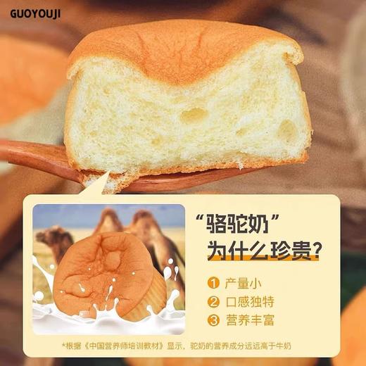 新疆骆驼奶蛋糕 松软香甜 商品图3