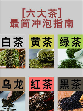 六大茶最简冲泡指南